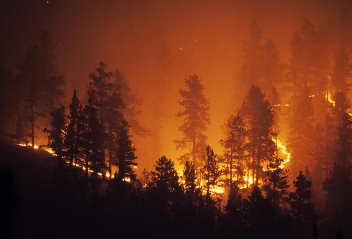 Manejo del impacto del humo de los incendios forestales en la calidad del aire