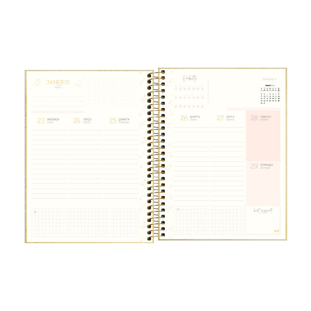 Planner Espiral Cambridge Shine 2023