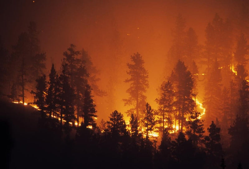 Manejo del impacto del humo de los incendios forestales en la calidad del aire