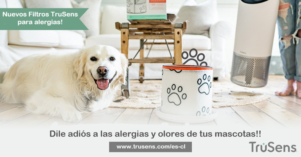 Alivio de la alergia a las mascotas