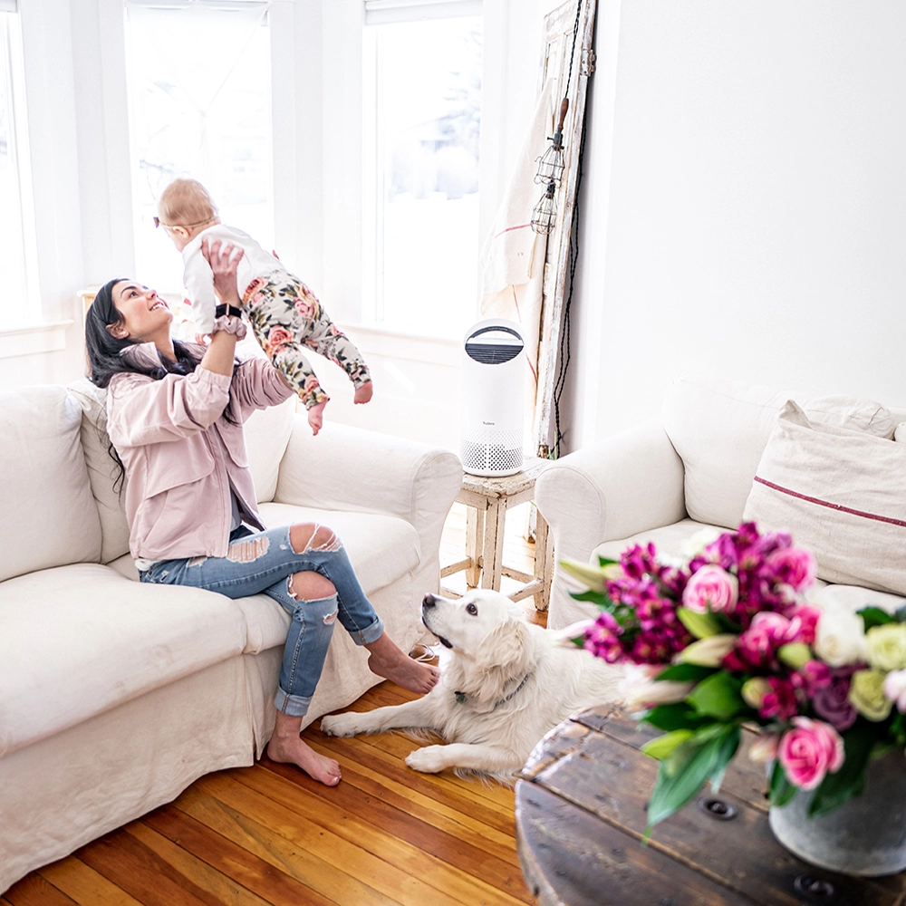 Purificador de Aire Pequeño TruSens Z1000