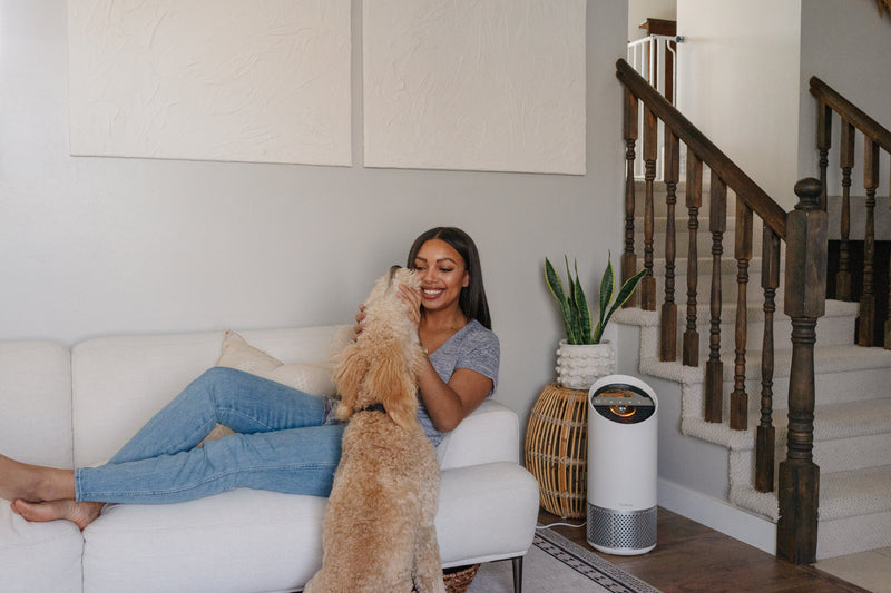 Purificador de Aire Mediano con Sensor Pod TruSens