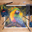 Lápices de colores ChromaFlow 12 colores Derwent